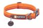 Preview: Ruffwear Flat Out Collar Autumn Horizon Gr. L Preview: Ruffwear Flat Out Collar Autumn Horizon Gr. L